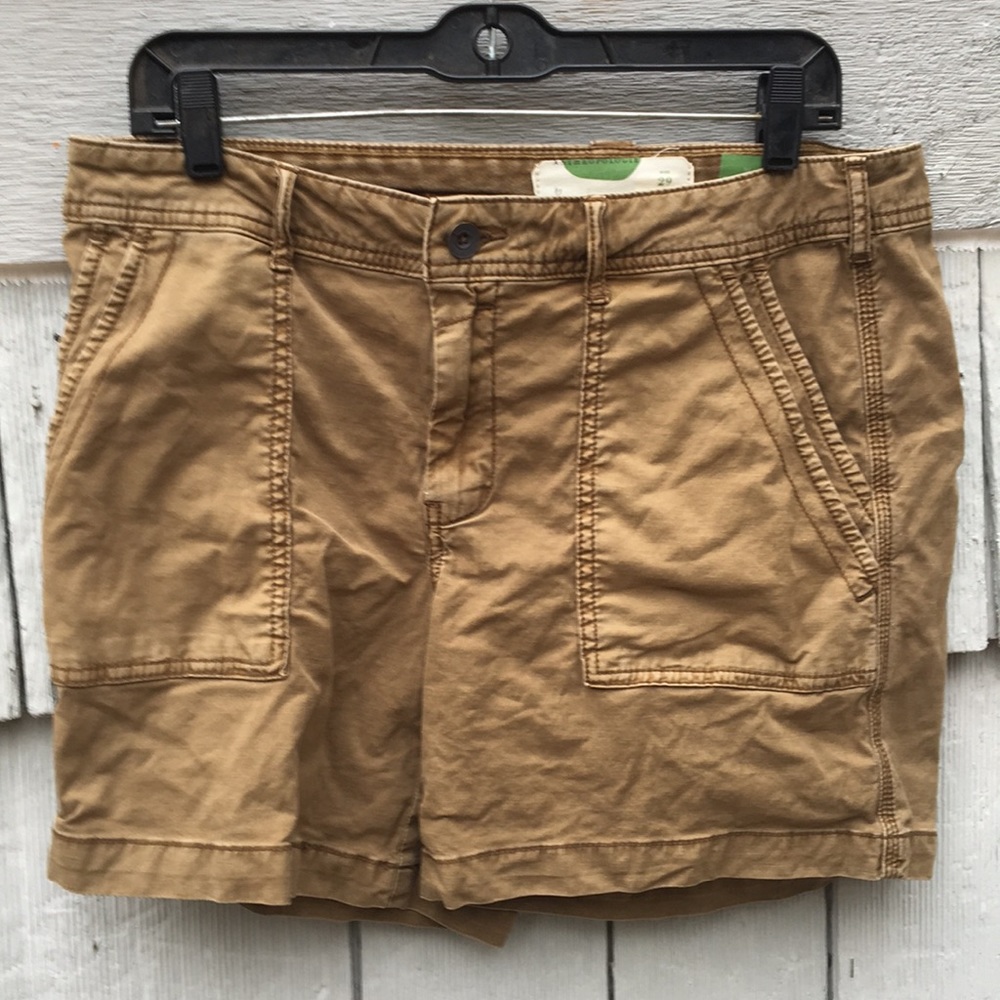Anthropology Size 29 shorts “The Wanderer”